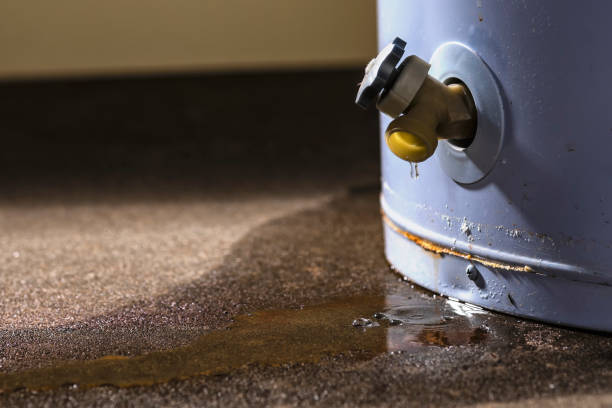 Bayshore Gardens, FL Water damage restoration Company