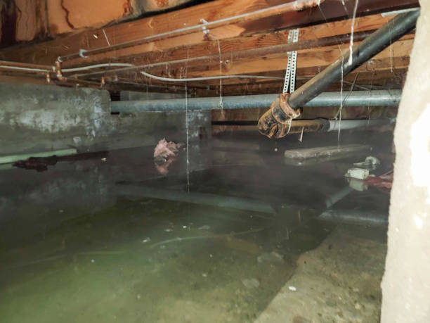 Best Flooded house restoration  in Bayshore Gardens, FL