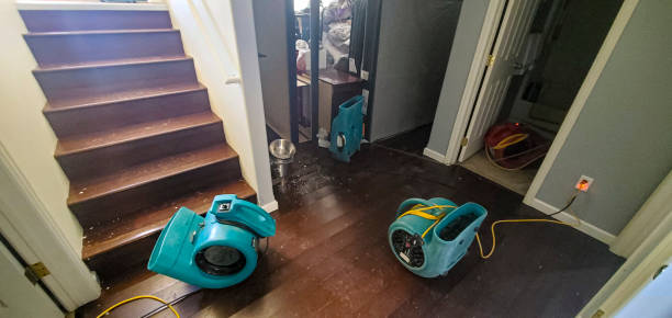 Best Commercial water damage restoration  in Bayshore Gardens, FL