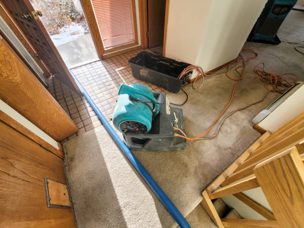 Best Water damage restoration near me  in Bayshore Gardens, FL