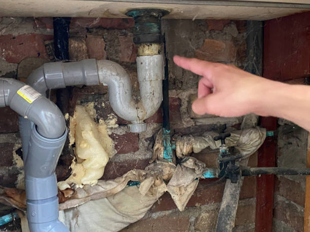 Best Residential water damage restoration  in Bayshore Gardens, FL