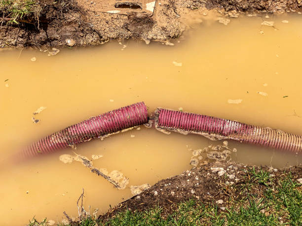 Best Mold removal after water damage  in Bayshore Gardens, FL