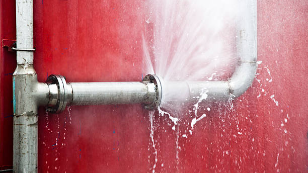 Best Flood restoration services  in Bayshore Gardens, FL